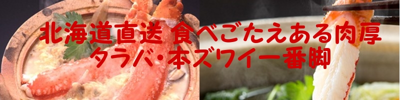 �k�C���^���o�ƃY���C������ԋr���T�C�g